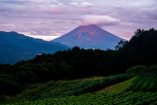 日本の象徴・富士山の写真画像