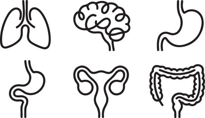 Set of human organs one line continuous drawing. Lungs, brain, stomach, bladder, reproductive system, intestines.one line vector icon illustration