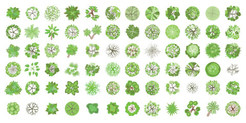 Fototapeta premium Trees top view. Different plants and trees vector set for architectural or landscape design. (View from above) Nature green spaces. Aerial.