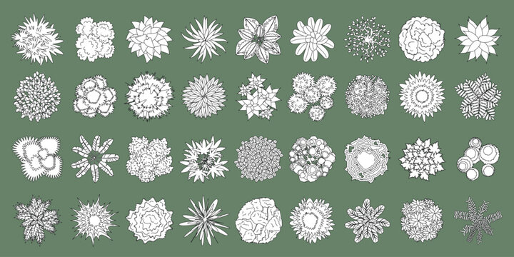 Vector set. Trees, bushes and plants. Top view. Collection for landscape design, plan, maps. View from above. Aerial.