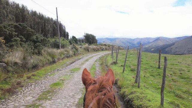 Horseback riding pov along a countryside trail near Cayambe, Ecuador