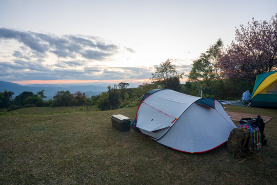 spring nature camping tent on high mountain view and holiday vacation relax by camp on sunrise sunset with cherry blossoms blooming or pink sakura at Huai Nam Dang National Park campground in Thailand