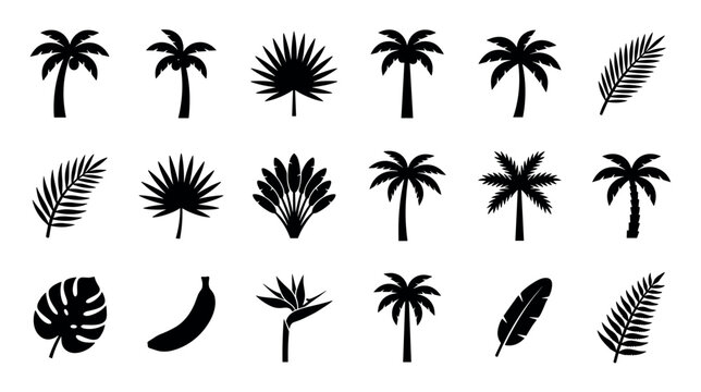 Collection of black tropical plant silhouettes including various palm trees, monstera, banana leaf, and exotic flowers, presented as a set of flat vector style icons