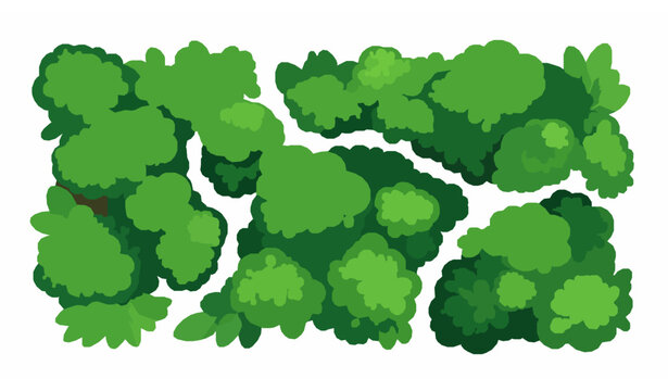 Rainforest jungle canopy aerial vector illustration with lush green foliage isolated on white background