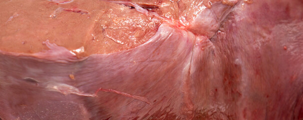 Raw Beef liver background and texture.