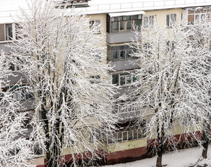 The Architecture backgrounds. Winter.