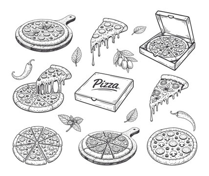 pizza in box vector sketch. Pizza sketch set vector,