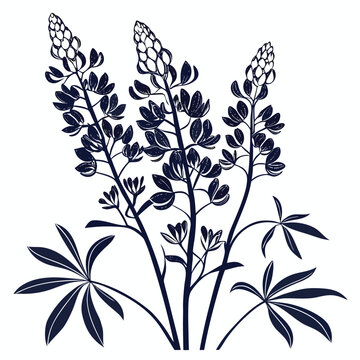 bluebonnets silhouette on white background