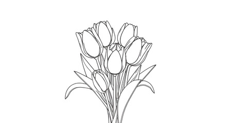 tulip, bouquet, flowers, flower, floral, blossom, bloom, petals, stems, leaves, botanical, botany, nature, plant, garden, spring, romantic, elegant, beauty, decorative, lineart, outline, drawing, sket