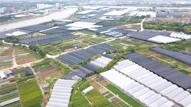 Aerial View of Large-Scale Greenhouse Farming Complex with Polytunnels