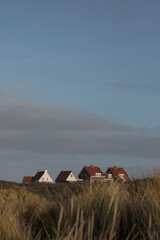 Traditional houses behind sand dunes on Texel island, Netherlands at sunset