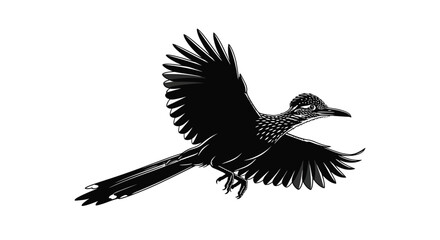 Obraz premium A striking image of a roadrunner in mid flight wings spread wide captured as a silhouette high quality professional detailed modern elegant stylish
