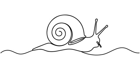 snail conch continuous line vector illustration, Continuous line drawing of conch snail shell. Single line illustration of ocean conch shell, Snail continuous one line drawing isolated on white © Parboti