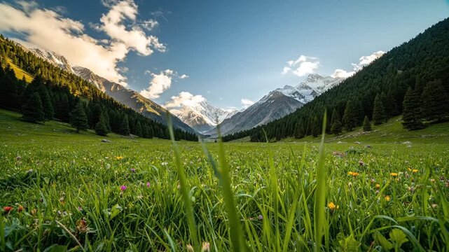 Pahalgam Meadow With Fresh Green Landscape