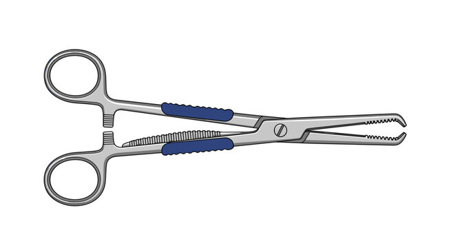 Surgical Forceps with Blue Handles.