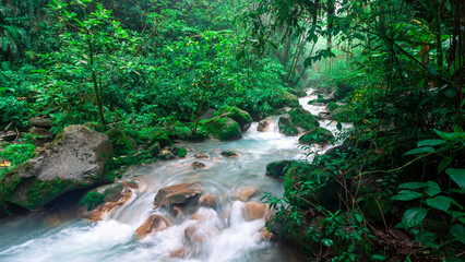 Obraz premium Beautiful river at the Blue Falls of Costa Rica through the tropical rainforest