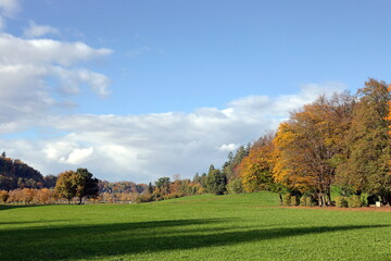 Fototapeta premium Herbstlandschaft bei Freiburg-Günterstal
