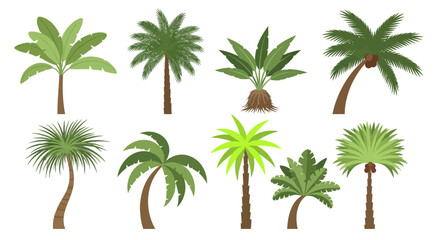 Obraz premium Vector Illustration Set of Diverse Palm Trees, Exotic Plants, and Tropical Foliage for Summer Vacation Designs and Island-Themed Graphics
