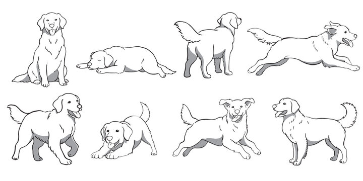 Hand-drawn minimalist line art collection of Golden Retriever dogs in multiple positions like jumping, lying down, and standing