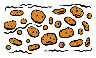 colored potatoes side by side. Vector colored horizontal banner on white isolated background