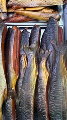 Cold smoked pink salmon balyk and chum salmon belly displayed  