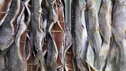 Dried pike and zander fish displayed on rustic wooden background  