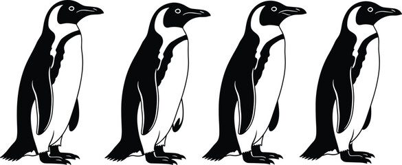 Set of four black and white penguin silhouettes standing upright, perfect for wildlife illustration, arctic animal vector art, educational design, and nature-themed graphic projects. © MdAzmol