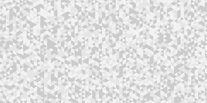 Minimal vector white and gray abstract low polygon banner triangle gradient web template design. creative poly mosaic space tile geometric pattern.