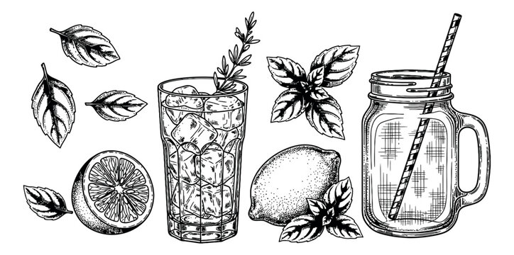 Hand drawn line art drinks elements set featuring a cocktail glass, mason jar, lemons, and herbs for refreshing summer beverages