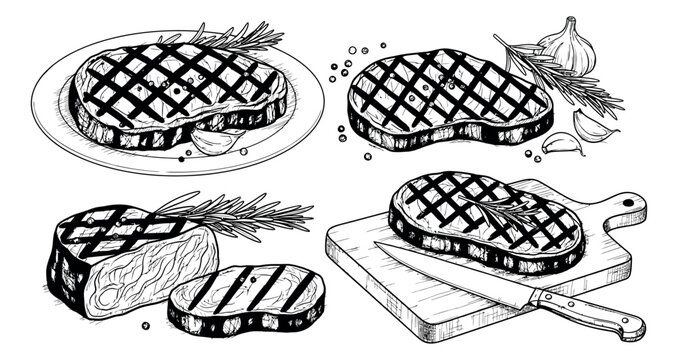 Hand drawn line art grilled steak set featuring various cuts of meat with rosemary and garlic for barbecue and culinary design