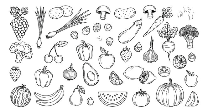 Hand drawn line art fruits and vegetables set featuring a wide variety of fresh produce for healthy eating and cooking