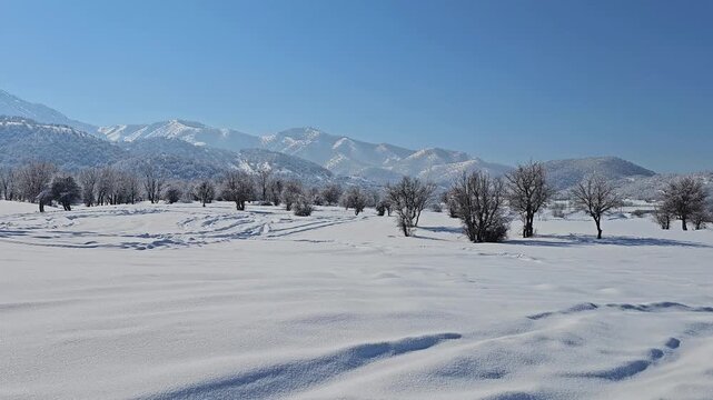 Snow-covered winter landscape with leafless trees, tire tracks on the snow, distant mountains, and a bright blue sky creating a peaceful and scenic view.  
📍Marivan, Kurdistan 