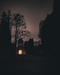 night in the forest © Krystian