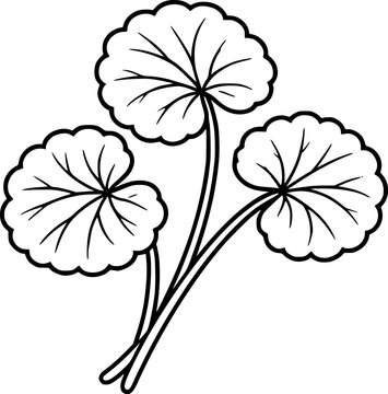 Black and white vector illustration of centella asiatica plant (gotu kola). Hand drawn botanical sketch in outline style isolated on white background. Medicinal herb used in skincare, cosmetics 