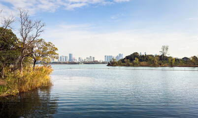 Tranquil Lakeside View with Modern City Skyline in the Background
