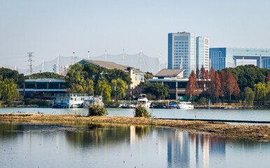 Tranquil Waterfront Scene with Modern Cityscape Backdrop