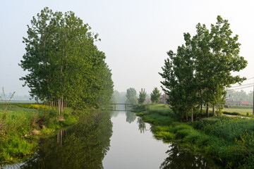 Tranquil River Scene Surrounded by Lush Greenery in Morning Light