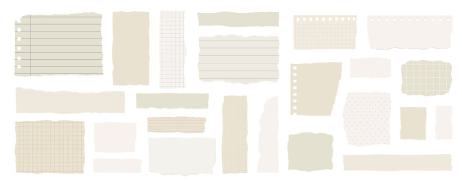 abstract beige vintage torn paper vector illustration pieces with lined grid and plain textures arranged as scrapbook collage isolated on white background concept of stationery packaging branding
