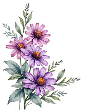 flowers on a white background