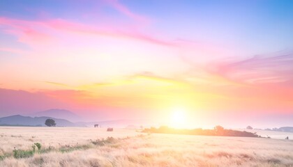 Dreamy sunrise over a wheat field with mountains in the distance