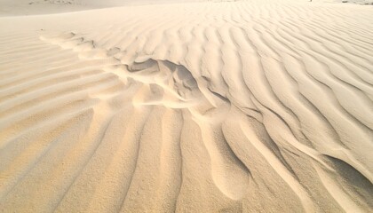 Fototapeta premium Wavy sand dunes in a desert, golden hour. Ripples form patterns. Some windblown sand
