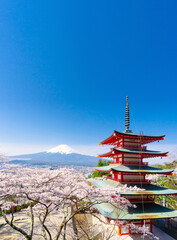 Mount Fuji, Full Bloom Cherry Blossoms and a Five-Story Pagoda