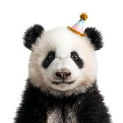 Obraz premium PNG of A cute panda wearing a colorful party hat, exuding a playful and festive vibe.