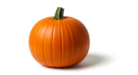 Obraz premium pumpkin on white background