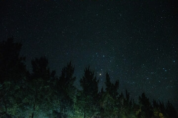 Fototapeta premium night sky with stars and clouds