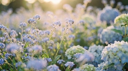 Sun-drenched garden awakens with delicate blue and green blossoms, a serene natural landscape bathed in golden hour light