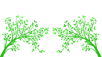 A symmetrical illustration of tree branches suitable for decorative and nature-themed designs.