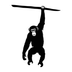 Vector silhouette of a molar tooth with roots, dental anatomy, black shape on white background, dentistry icon.