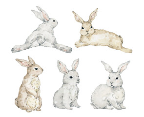 Watercolor cute rabbits. Wild forest animals. Easter bunny
