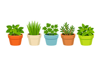 Obraz premium Various plants in colorful pots arranged in a row, placed on a simple background, showcasing different types of herbs and greens